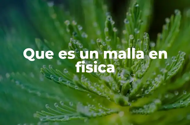 Que es un Malla en Fisica