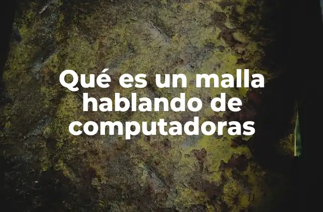 Qué es un Malla Hablando de Computadoras