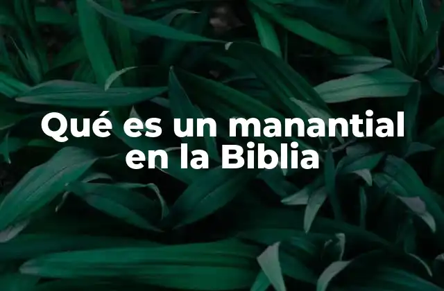 Qué es un Manantial en la Biblia