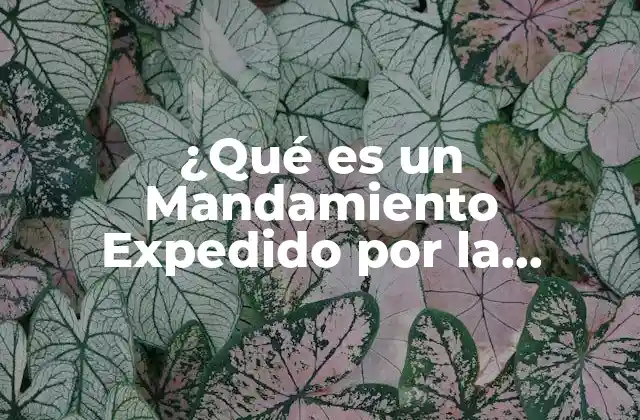 ¿qué es un Mandamiento Expedido por la Autoridad Judicial?