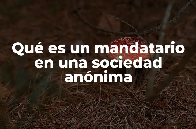Qué es un Mandatario en una Sociedad Anónima