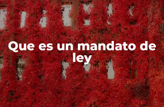 Que es un Mandato de Ley