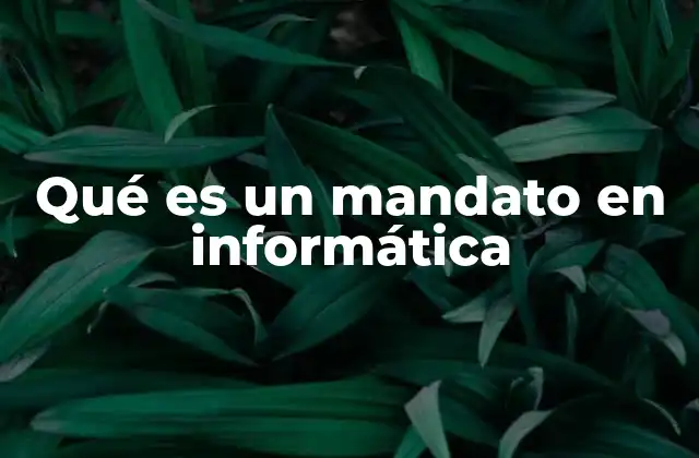 Qué es un Mandato en Informática