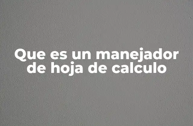 Que es un Manejador de Hoja de Calculo