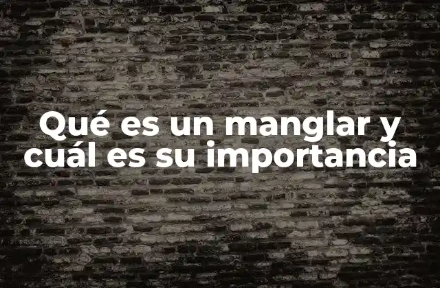 Qué es un Manglar y Cuál es Su Importancia