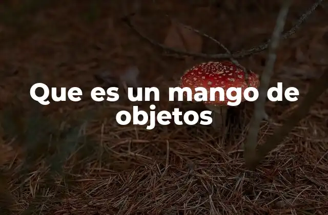 Que es un Mango de Objetos
