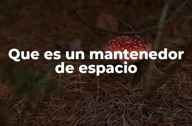Que es un Mantenedor de Espacio