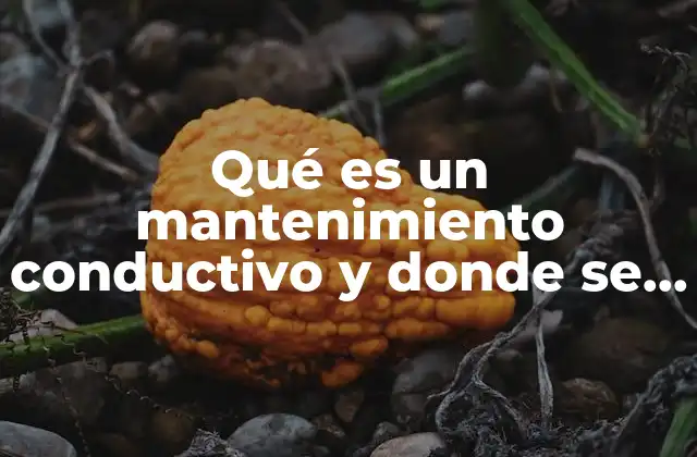 Qué es un Mantenimiento Conductivo y Donde Se Aplica