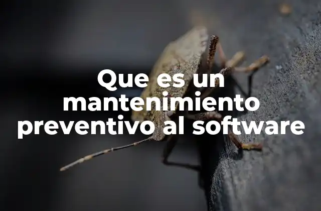 Que es un Mantenimiento Preventivo Al Software