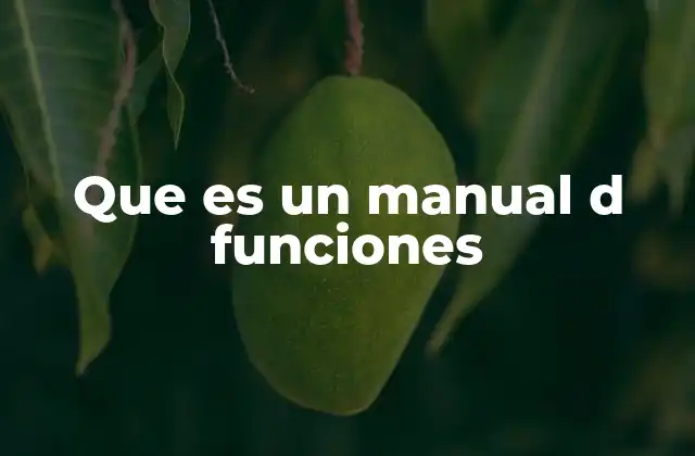 Que es un Manual D Funciones