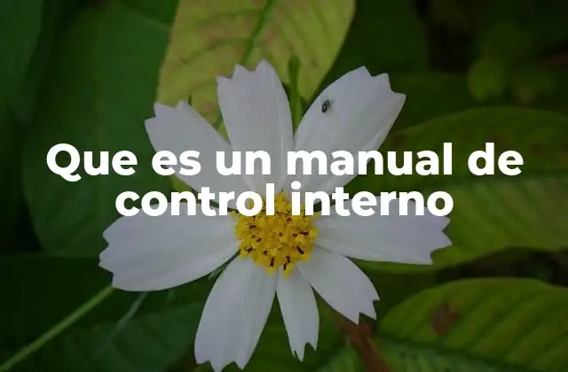 Que es un Manual de Control Interno