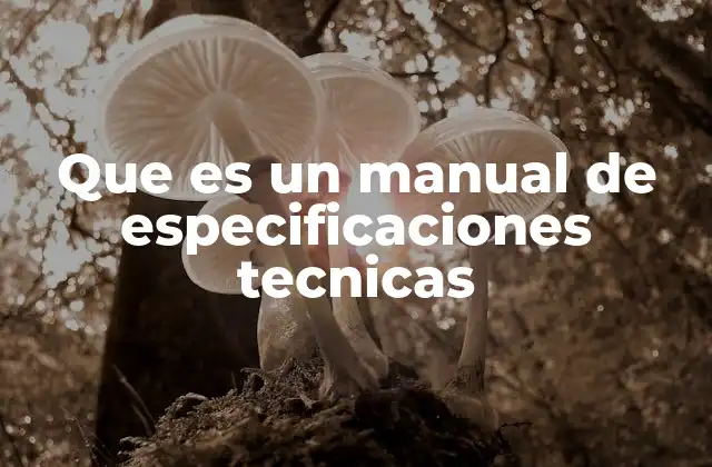 Que es un Manual de Especificaciones Tecnicas