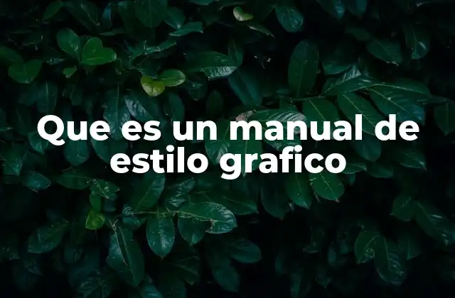 Que es un Manual de Estilo Grafico