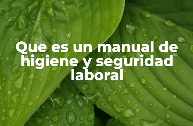 Que es un Manual de Higiene y Seguridad Laboral