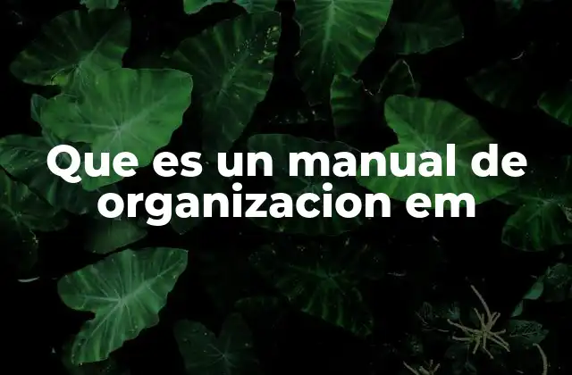 Que es un Manual de Organizacion Em