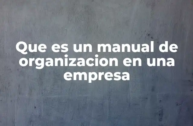 Que es un Manual de Organizacion en una Empresa