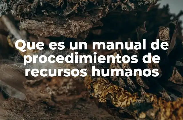 Que es un Manual de Procedimientos de Recursos Humanos