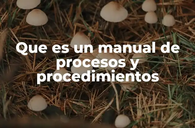 Que es un Manual de Procesos y Procedimientos 2 La importancia de tener procesos documentados
