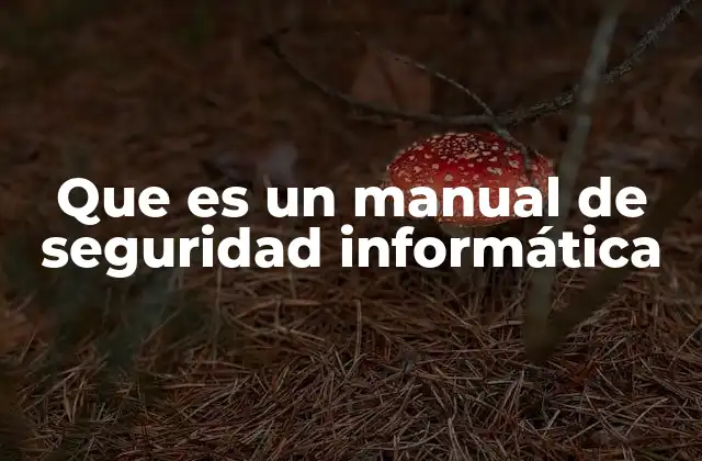 Que es un Manual de Seguridad Informática