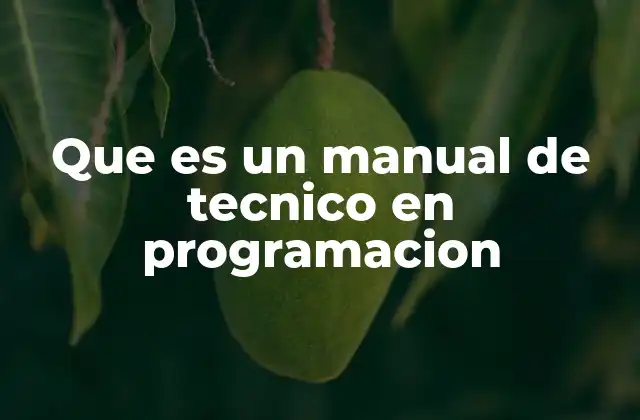Que es un Manual de Tecnico en Programacion