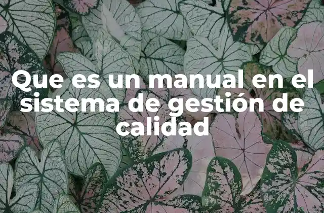 Que es un Manual en el Sistema de Gestión de Calidad