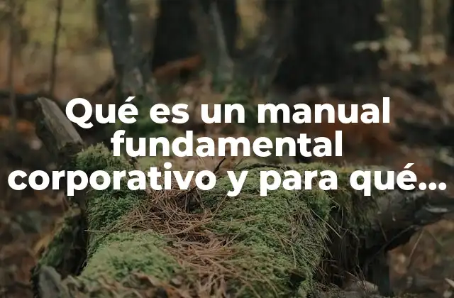 Qué es un Manual Fundamental Corporativo y para Qué Sirve