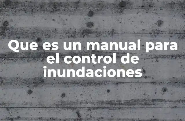 Que es un Manual para el Control de Inundaciones 2 La importancia de contar con guías organizativas en situaciones de riesgo