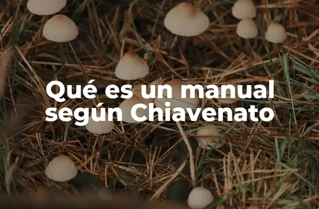 Qué es un Manual según Chiavenato