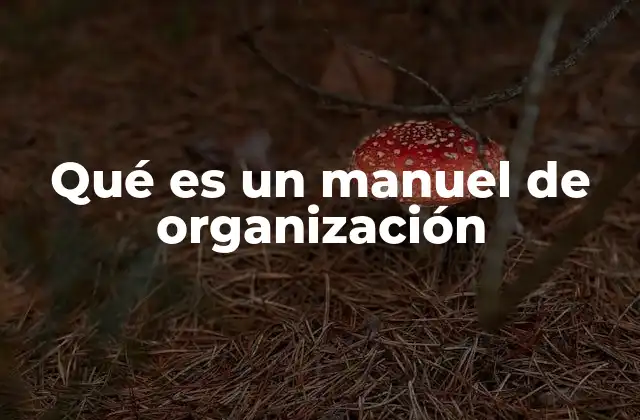 Qué es un Manuel de Organización