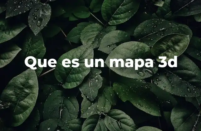 Que es un Mapa 3d