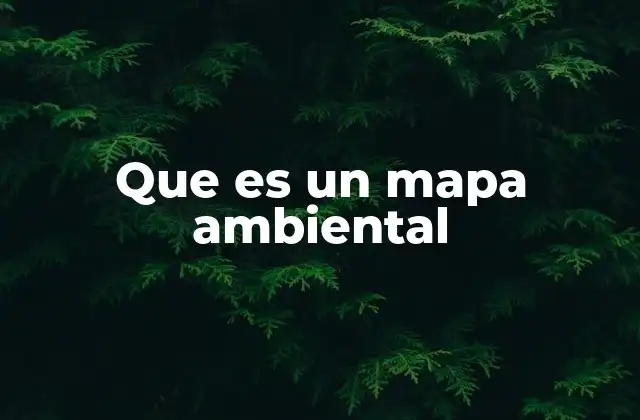 El rol del mapa ambiental en la planificación territorial