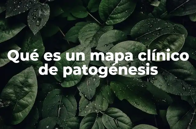 Qué es un Mapa Clínico de Patogénesis
