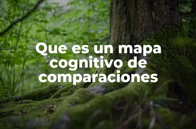 Que es un Mapa Cognitivo de Comparaciones