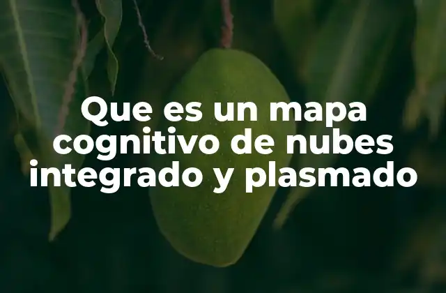 Que es un Mapa Cognitivo de Nubes Integrado y Plasmado