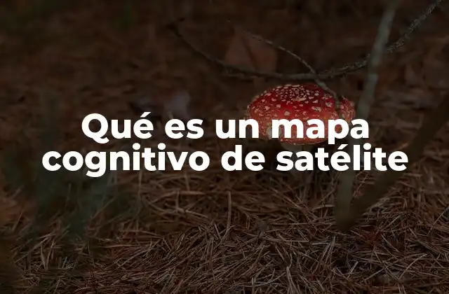 Qué es un Mapa Cognitivo de Satélite