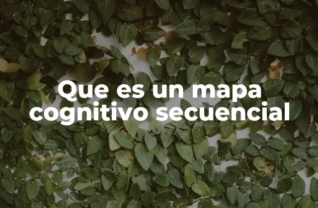 Que es un Mapa Cognitivo Secuencial