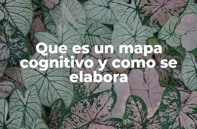 Cómo estructurar un mapa cognitivo para facilitar la comprensión