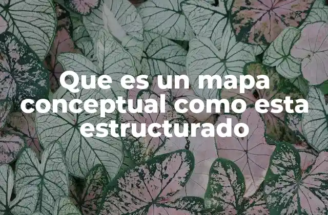 Que es un Mapa Conceptual como Esta Estructurado