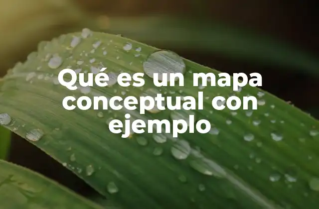 Qué es un Mapa Conceptual con Ejemplo