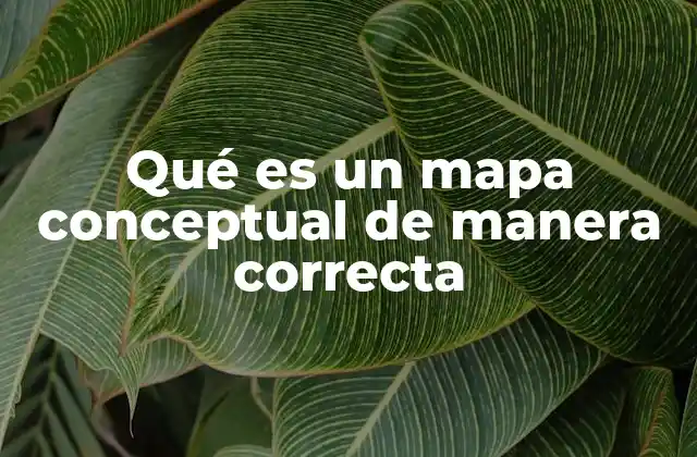 Qué es un Mapa Conceptual de Manera Correcta