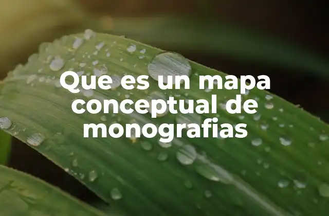 Que es un Mapa Conceptual de Monografias