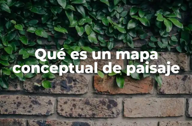 Qué es un Mapa Conceptual de Paisaje