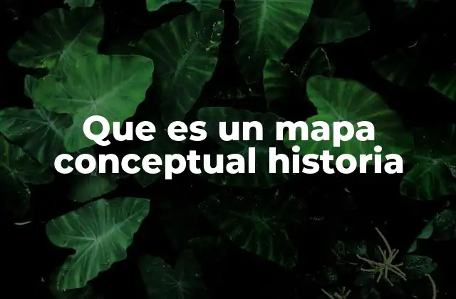 Que es un Mapa Conceptual Historia