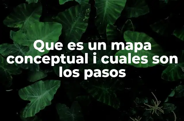 Que es un Mapa Conceptual I Cuales Son los Pasos