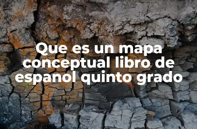 Que es un Mapa Conceptual Libro de Espanol Quinto Grado
