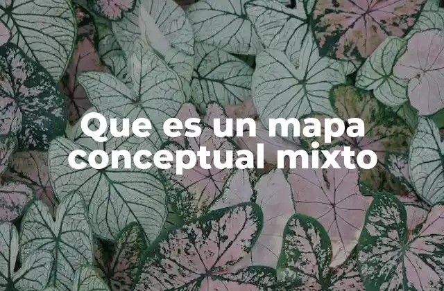 Que es un Mapa Conceptual Mixto