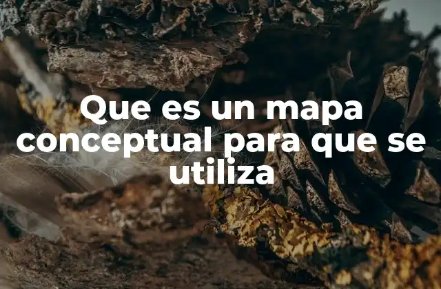 Que es un Mapa Conceptual para que Se Utiliza