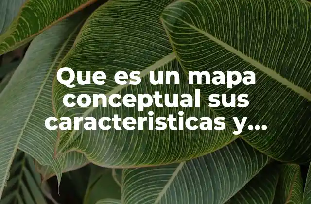 Que es un Mapa Conceptual Sus Caracteristicas y Diferentes Ejemplos