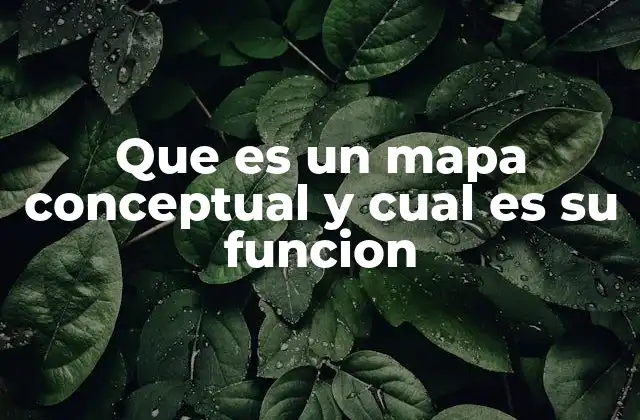 La importancia de la organización visual en el aprendizaje