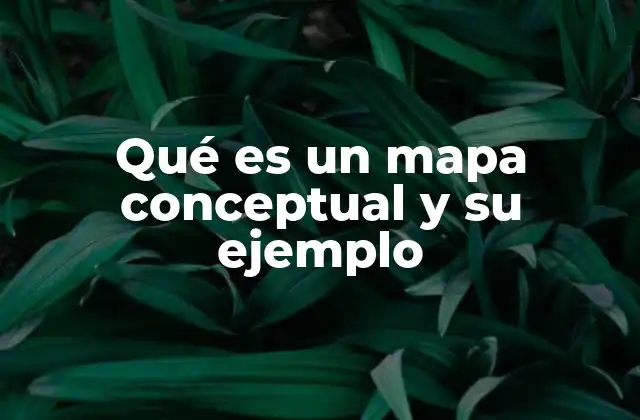 Qué es un Mapa Conceptual y Su Ejemplo